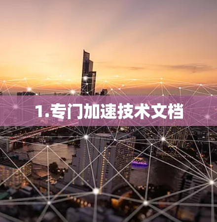 1.专门加速技术文档