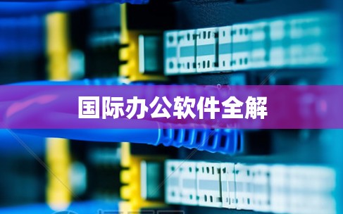 国际办公软件全解