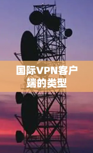 国际VPN客户端的类型