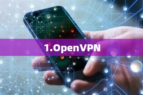 1.OpenVPN