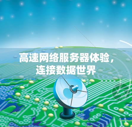 高速网络服务器体验，连接数据世界