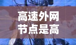 高速外网节点是高速公路和内环路之间的关键节点，具有以下特点和作用