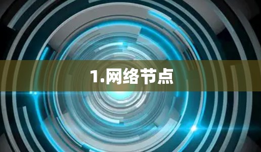 1.网络节点