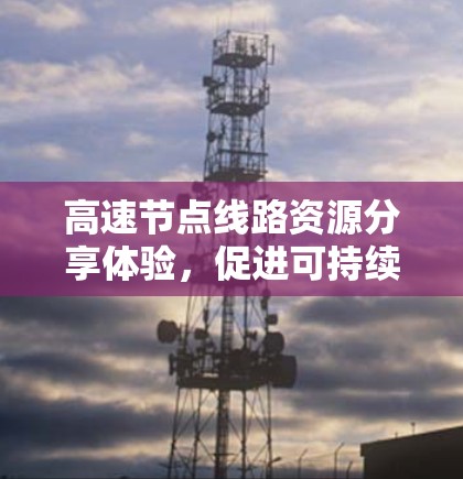 高速节点线路资源分享体验，促进可持续发展的重要途径