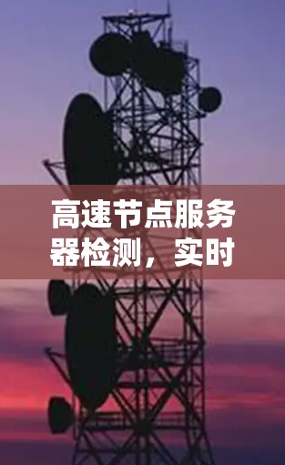 高速节点服务器检测，实时监控与安全防护