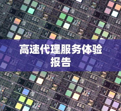高速代理服务体验报告