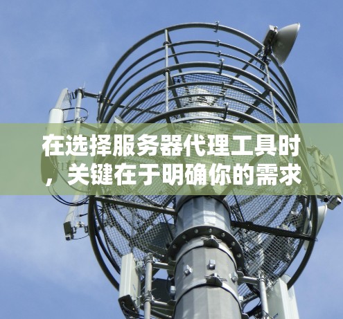 在选择服务器代理工具时,关键在于明确你的需求和预算。以下是一些建议,帮助你选择最适合的工具 在选择服务器代理工具时,关键在于明确你的需求和预算。以下是一些建议,帮助你选择最适合的工具