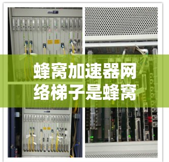蜂窝加速器网络梯子是蜂窝网络中的一个子网络结构，设计用于优化蜂窝网络性能。以下是对该概念的详细解析