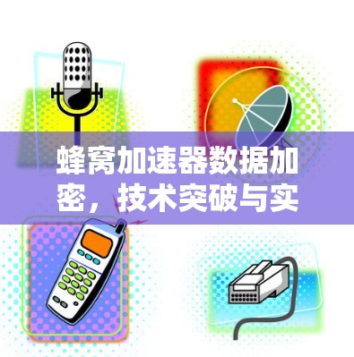 蜂窝加速器数据加密,技术突破与实际应用 蜂窝加速器数据加密,技术突破与实际应用