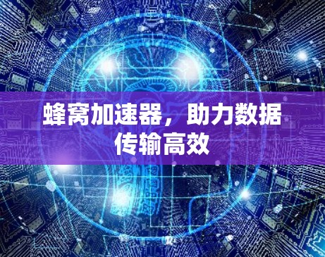 蜂窝加速器,助力数据传输高效 蜂窝加速器,助力数据传输高效