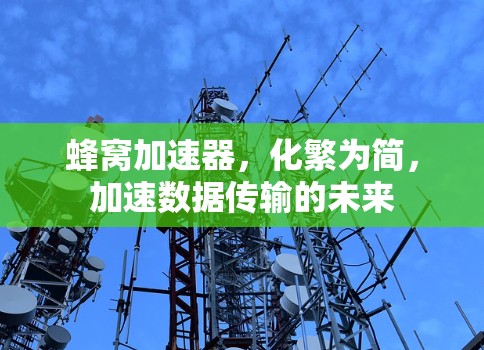 蜂窝加速器,化繁为简,加速数据传输的未来 蜂窝加速器,化繁为简,加速数据传输的未来