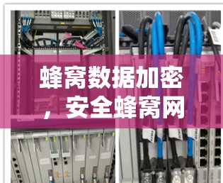 蜂窝数据加密，安全蜂窝网络建设新标准