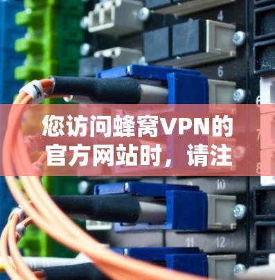 您访问蜂窝VPN的官方网站时,请注意以下几点 您访问蜂窝VPN的官方网站时,请注意以下几点