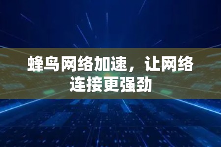 蜂鸟网络加速,让网络连接更强劲 蜂鸟网络加速,让网络连接更强劲