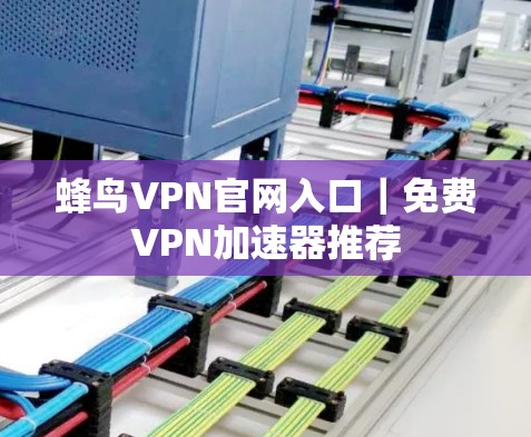 蜂鸟VPN官网入口|免费VPN加速器推荐 蜂鸟VPN官网入口|免费VPN加速器推荐