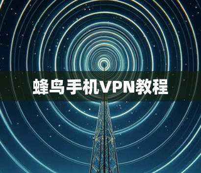 蜂鸟手机VPN教程