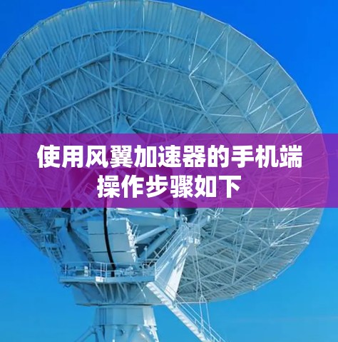 使用风翼加速器的手机端操作步骤如下 使用风翼加速器的手机端操作步骤如下