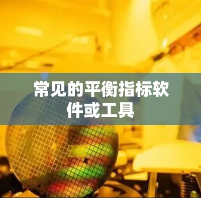 常见的平衡指标软件或工具 常见的平衡指标软件或工具