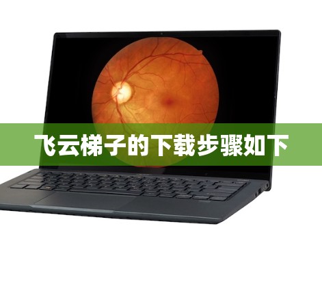 飞云梯子的下载步骤如下