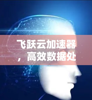 飞跃云加速器,高效数据处理,提升计算性能 飞跃云加速器,高效数据处理,提升计算性能
