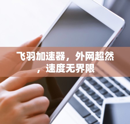 飞羽加速器，外网超然，速度无界限