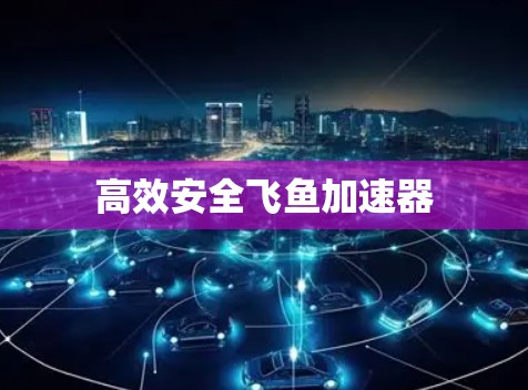 高效安全飞鱼加速器
