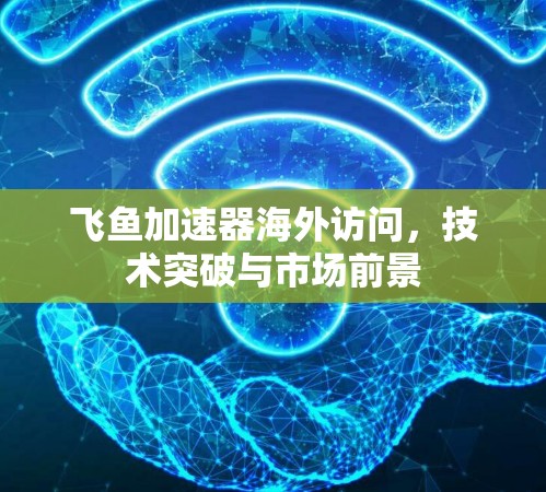 飞鱼加速器海外访问，技术突破与市场前景