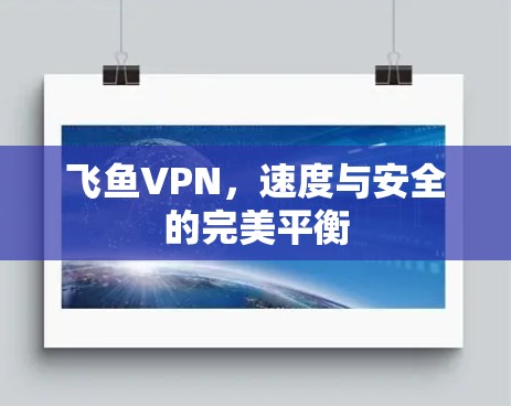 飞鱼VPN，速度与安全的完美平衡