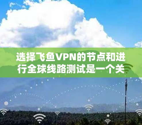 选择飞鱼VPN的节点和进行全球线路测试是一个关键步骤，尤其是对于刚接触VPN的人来说。以下是一些关于如何选择节点和进行全球线路测试的建议