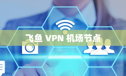 飞鱼 VPN 机场节点 飞鱼 VPN 机场节点