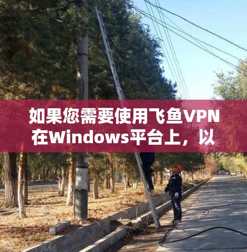 如果您需要使用飞鱼VPN在Windows平台上,以下是几个推荐的VPN软件推荐 如果您需要使用飞鱼VPN在Windows平台上,以下是几个推荐的VPN软件推荐