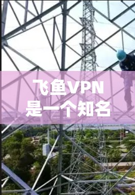 飞鱼VPN是一个知名的高速VPN服务提供商，提供多种VPN解决方案，包括非高速和高速版本。以下是关于飞鱼VPN的详细介绍和几个常用的高速VPN加速器下载链接