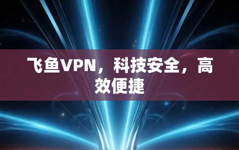 飞鱼VPN,科技安全,高效便捷 飞鱼VPN,科技安全,高效便捷