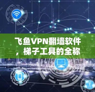 飞鱼VPN翻墙软件，梯子工具的全称与实际应用