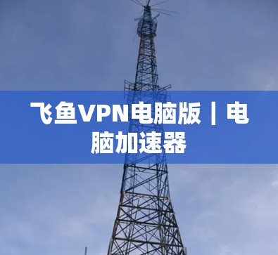 飞鱼VPN电脑版｜电脑加速器