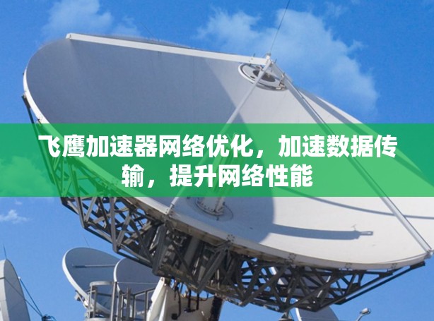 飞鹰加速器网络优化，加速数据传输，提升网络性能