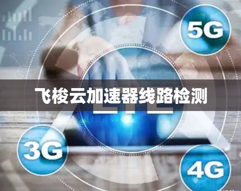 飞梭云加速器线路检测 飞梭云加速器线路检测