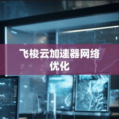飞梭云加速器网络优化 飞梭云加速器网络优化