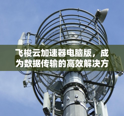 飞梭云加速器电脑版,成为数据传输的高效解决方案 飞梭云加速器电脑版,成为数据传输的高效解决方案
