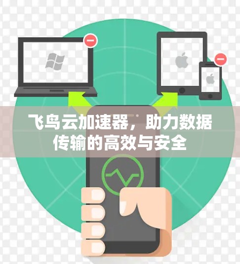 飞鸟云加速器,助力数据传输的高效与安全 飞鸟云加速器,助力数据传输的高效与安全