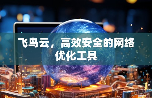 飞鸟云,高效安全的网络优化工具 飞鸟云,高效安全的网络优化工具