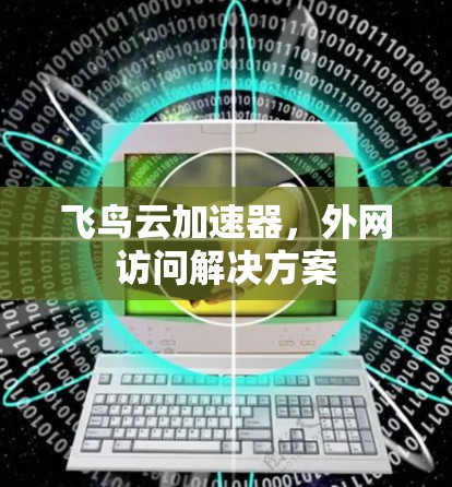 飞鸟云加速器,外网访问解决方案 飞鸟云加速器,外网访问解决方案