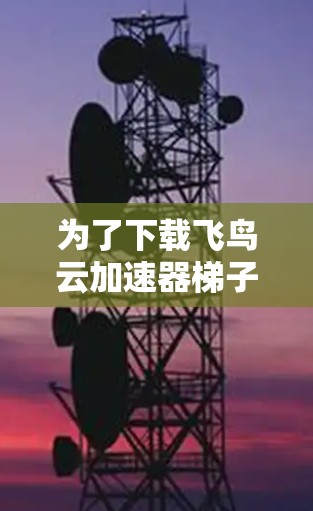 为了下载飞鸟云加速器梯子，您可以按照以下步骤进行操作