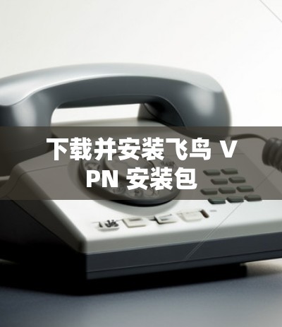 下载并安装飞鸟 VPN 安装包