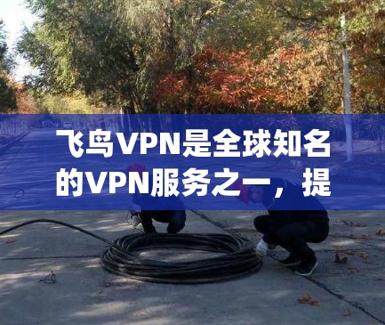 飞鸟VPN是全球知名的VPN服务之一,提供高速、安全的VPN体验。它是一个跨平台的软件,支持多种视频解密方式,包括18p、72p、48p、21p等。以下是关于飞鸟VPN的详细介绍 飞鸟VPN是全球知名的VPN服务之一,提供高速、安全的VPN体验。它是一个跨平台的软件,支持多种视频解密方式,包括18p、72p、48p、21p等。以下是关于飞鸟VPN的详细介绍