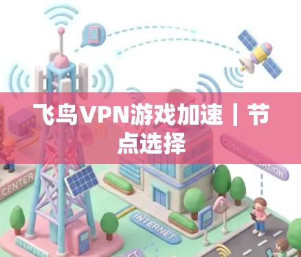 飞鸟VPN游戏加速|节点选择 飞鸟VPN游戏加速|节点选择