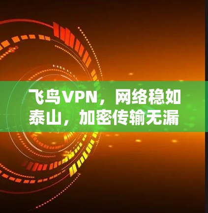 飞鸟VPN,网络稳如泰山,加密传输无漏洞 飞鸟VPN,网络稳如泰山,加密传输无漏洞
