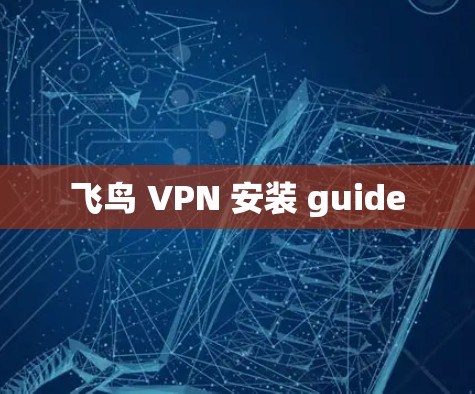 飞鸟 VPN 安装 guide 飞鸟 VPN 安装 guide