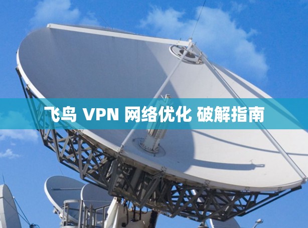 飞鸟 VPN 网络优化 破解指南