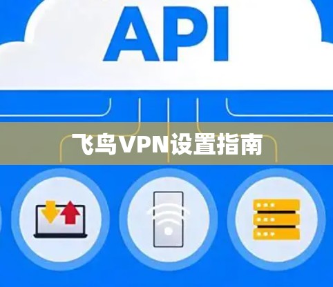 飞鸟VPN设置指南 飞鸟VPN设置指南